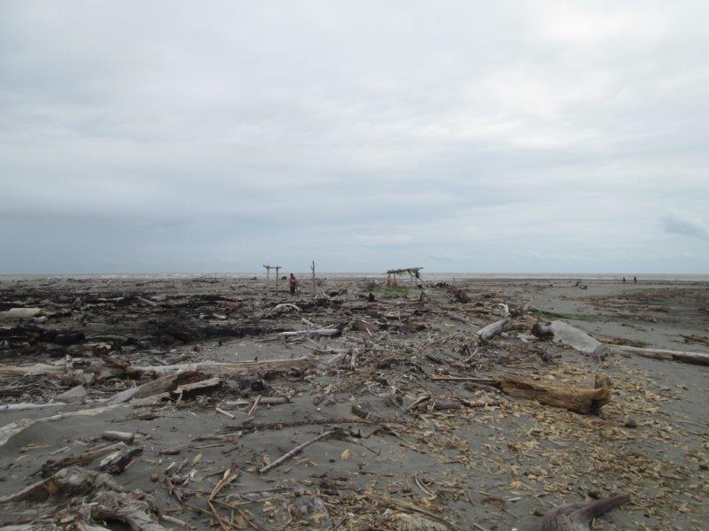 21. Coastal beach at East Vailala